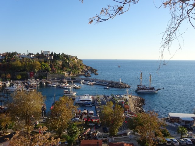 DSC05833