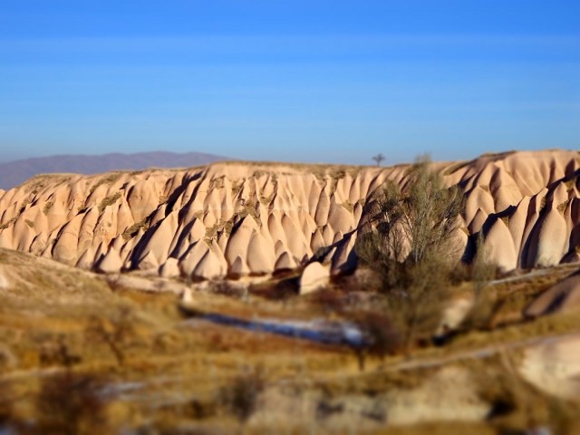 DSC06464