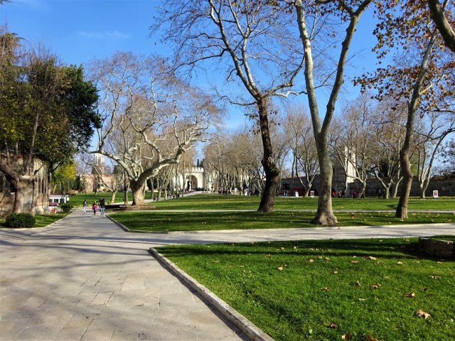 DSC07236