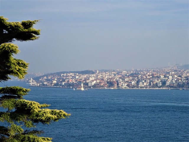 DSC07258