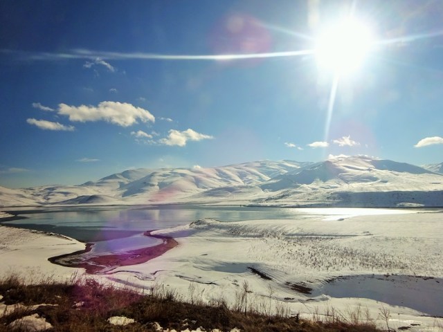 DSC08365