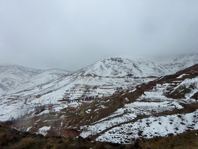 DSC09759