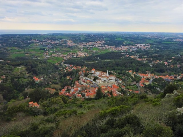 DSC01086